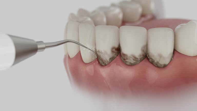Reliable Dental contractor in Sale Creek, TN by Dentist Open Now